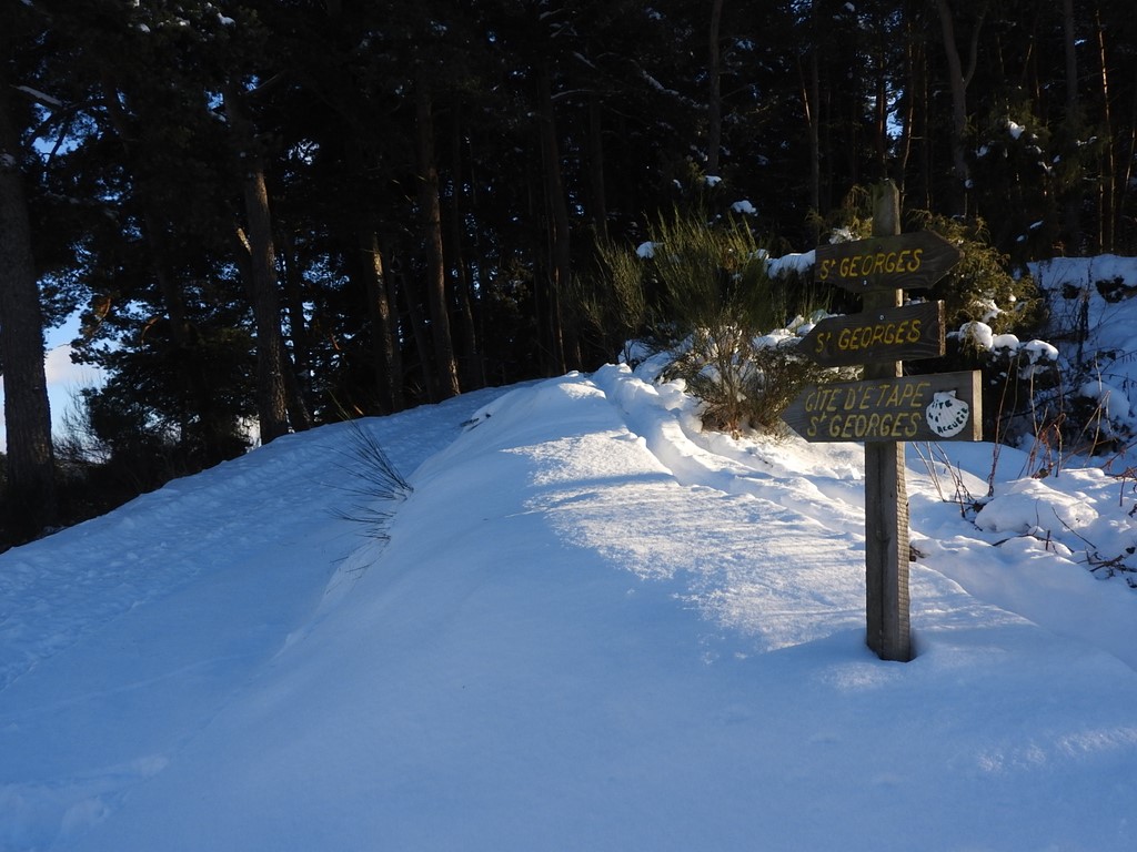 neige