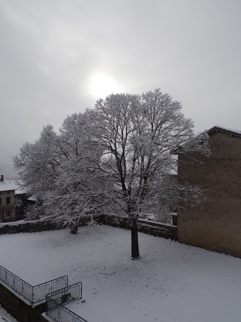 la cour enneigée